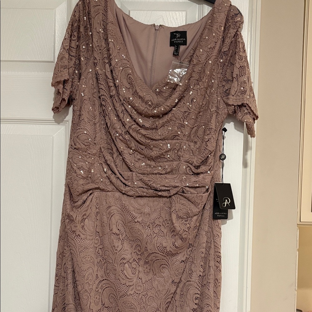 Adrianna PappellDusty Pink Lace Midi Dress-  New Tags still on